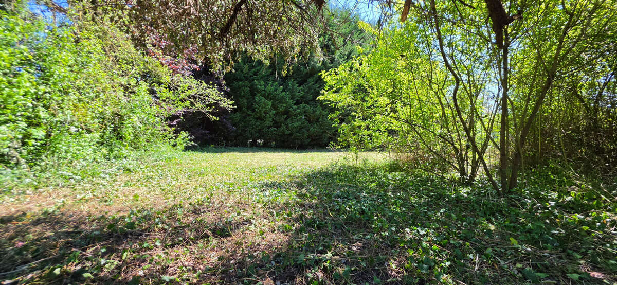 Terrain à MACHEMONT