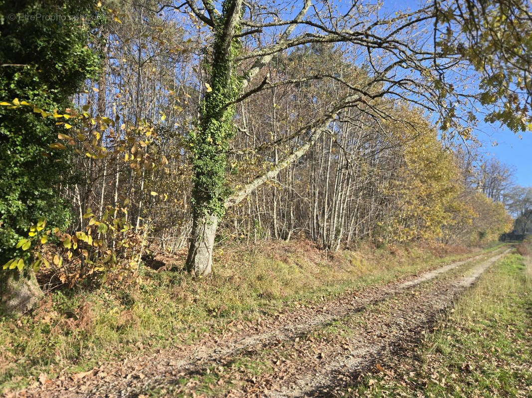 Terrain à VILLAMBLARD