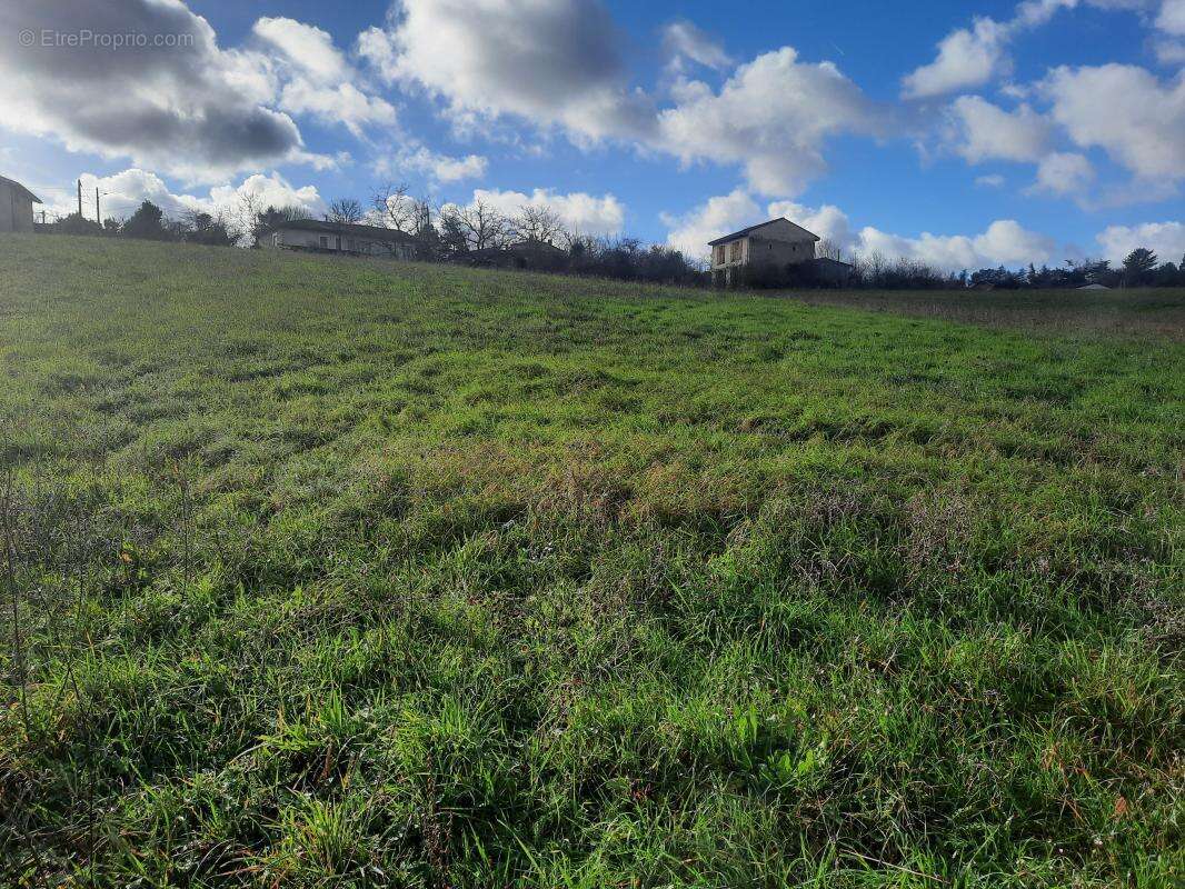 Terrain Constructible proche commerce - AUCH - photo 3