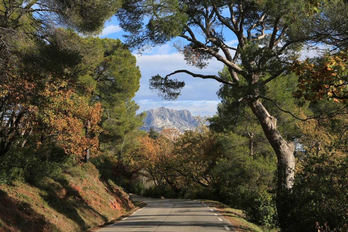 Commerce à LE THOLONET