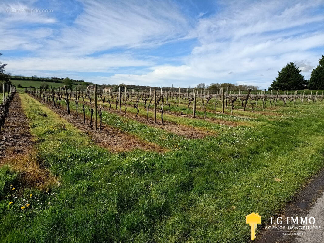 Terrain à SAINT-CIERS-DU-TAILLON