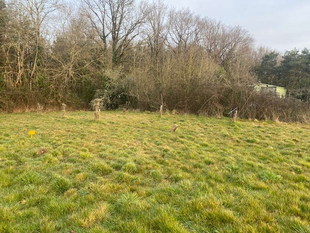 Terrain à TALMONT-SAINT-HILAIRE
