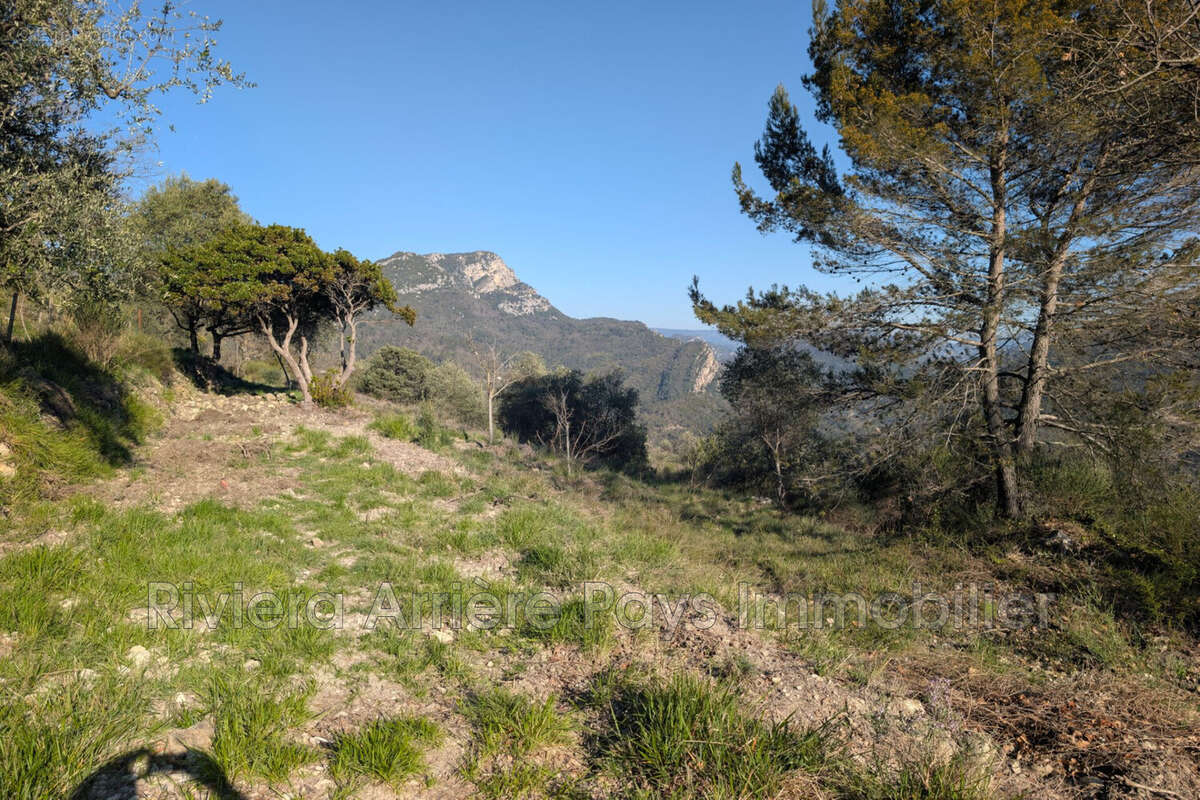 Terrain 1562 m² à Pierrefeu  - photo 3