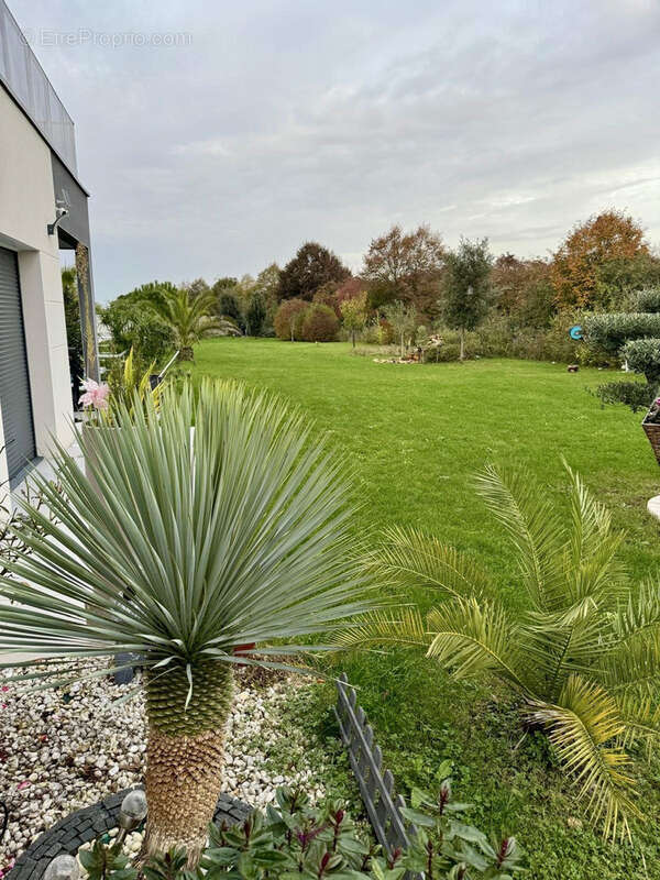 Maison à JOUE-LES-TOURS