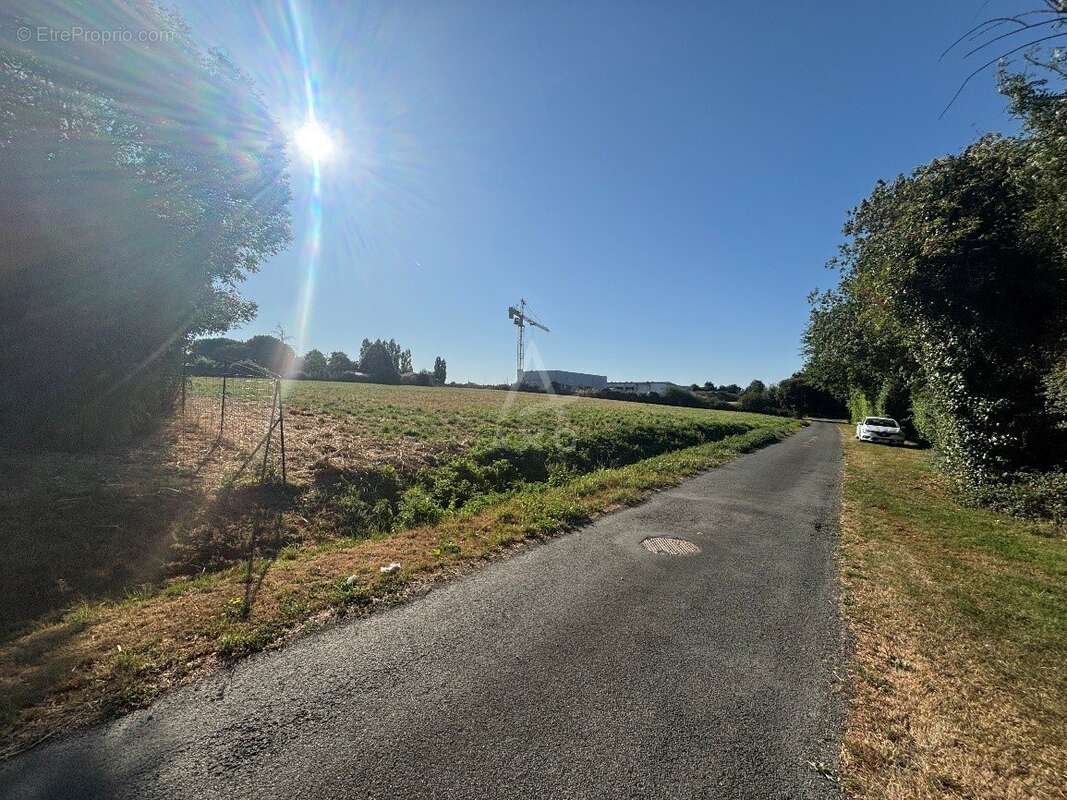 FONCIER de 5500 m² entierement constructible - photo 3