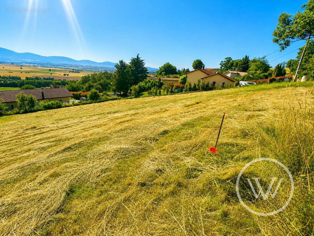 Terrain 2033 m² à Les Cotes-D'arey  - photo 4