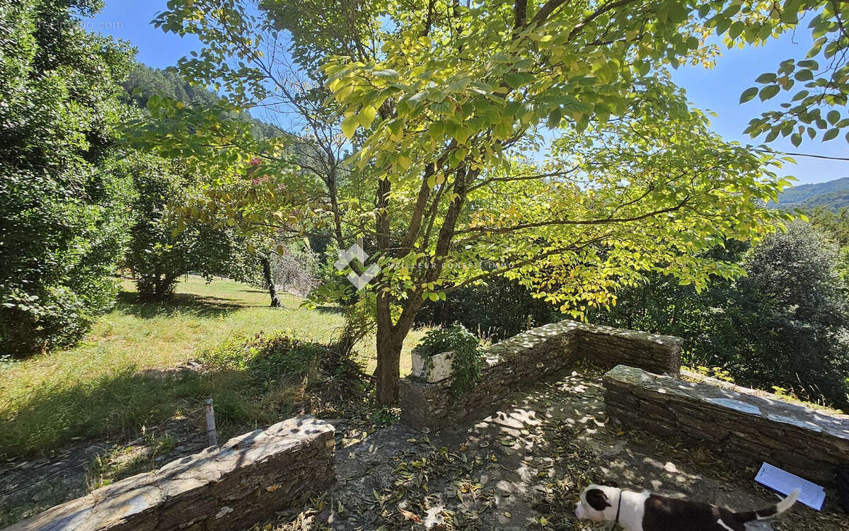 Maison à LE COLLET-DE-DEZE