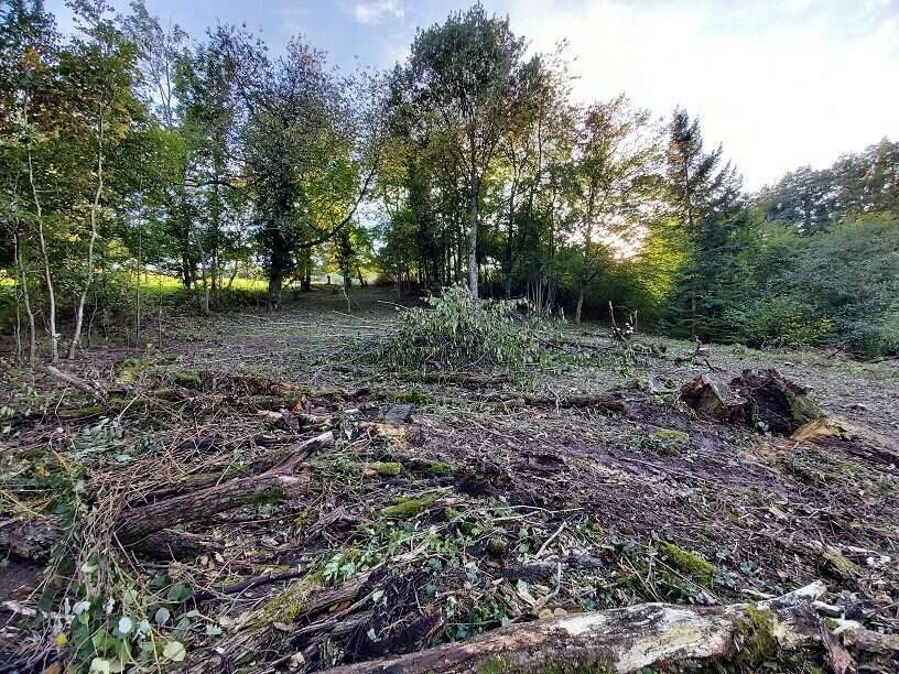 Terrain à BLIENSCHWILLER