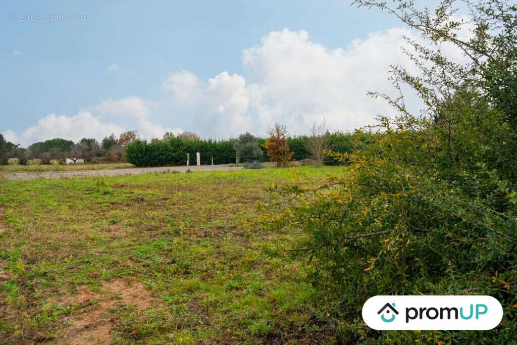 Terrain à BESSIERES