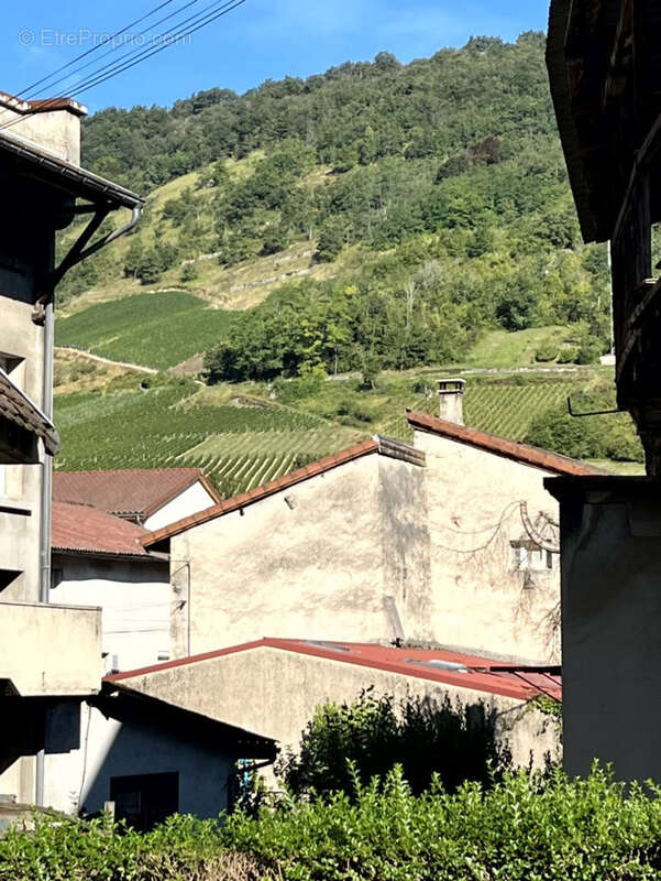 01450 CERDON : Maison de village 2 chambres - photo 10