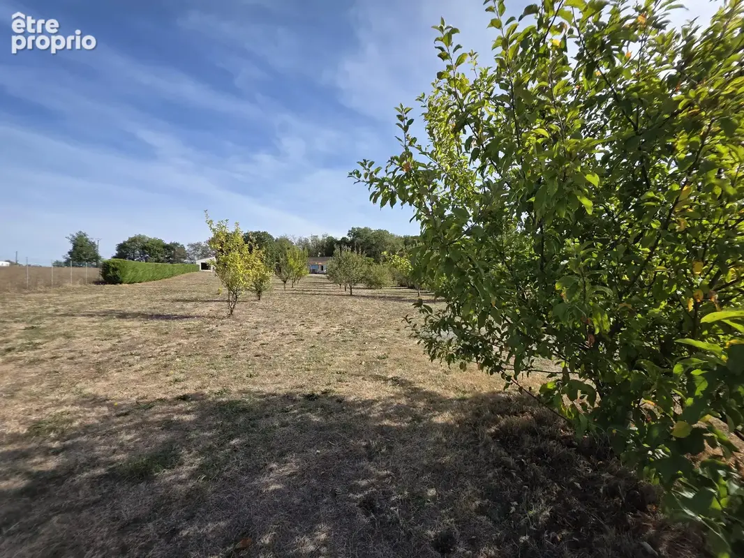 Propriété proche d’Eymet avec grand garage et verger sur plus de 6 000 m² - photo 19