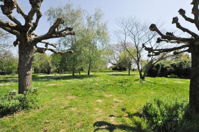 Maison à FONTENAY-LE-COMTE