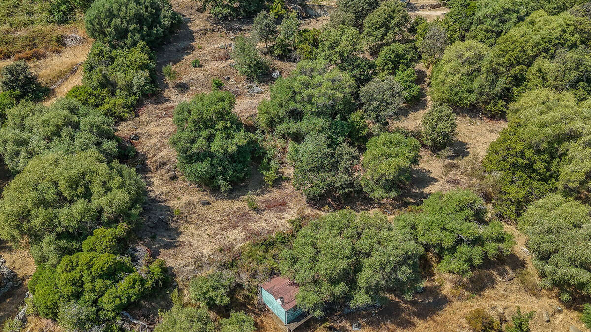 Terrain constructible 4000 m2 vue mer et montagnes - photo 5