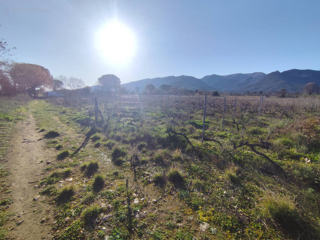 Terrain à SAINT-ANDRE