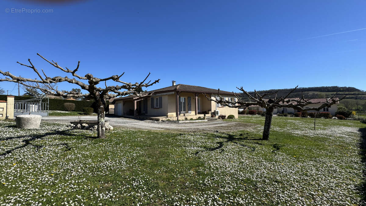 Maison à LAUZERTE