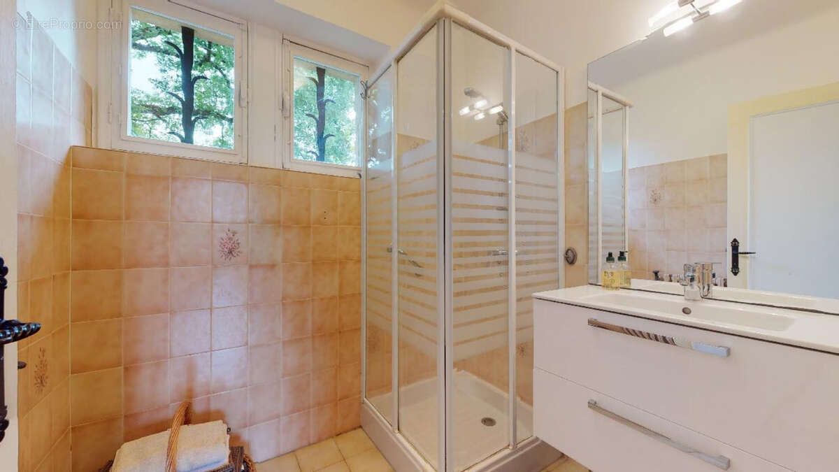 salle d&#039;eau RDC - Maison à BEYNAC-ET-CAZENAC