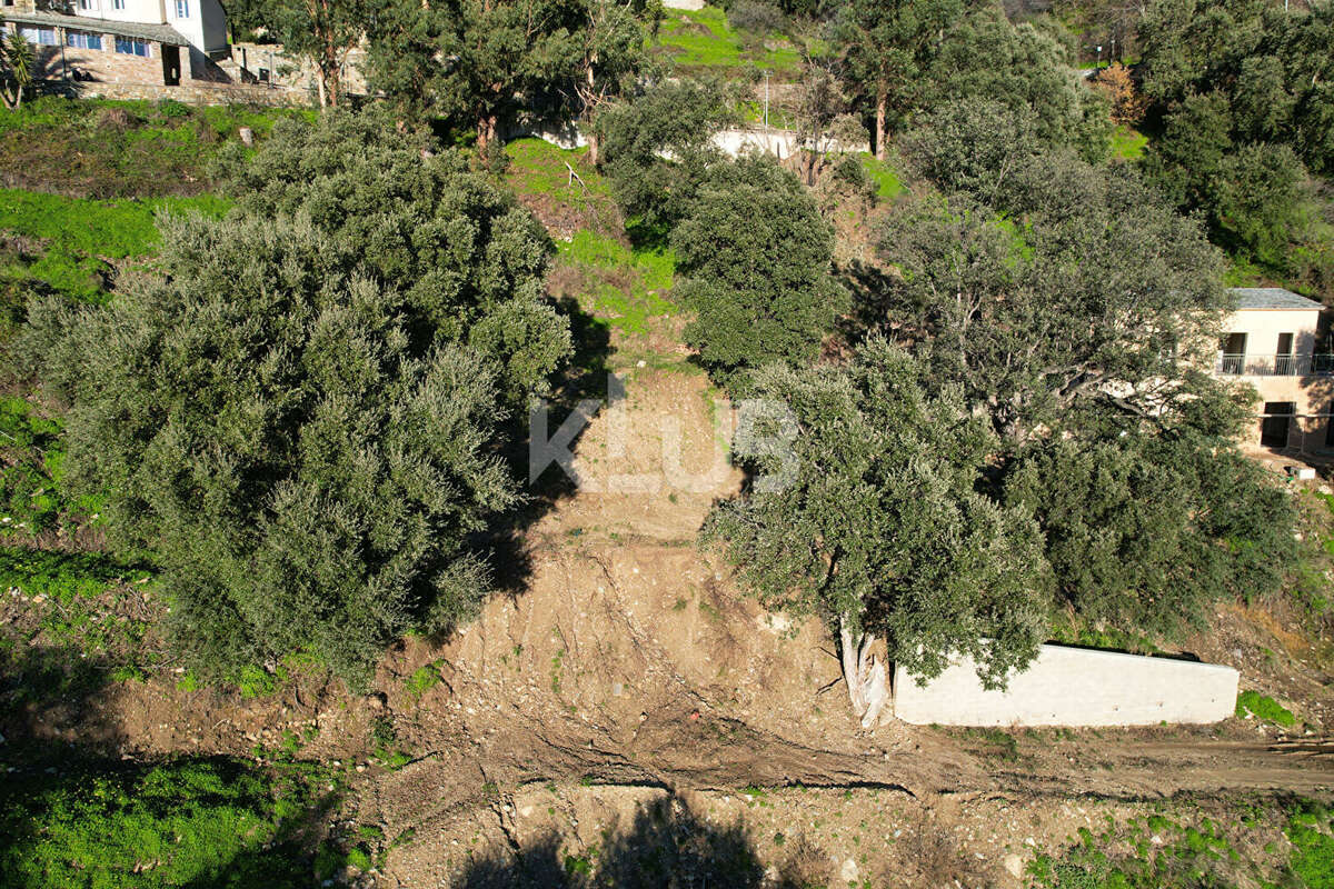 Terrain à POGGIO-D'OLETTA