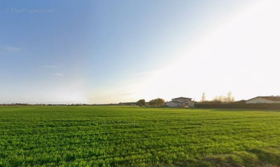 Terrain à LAMASQUERE