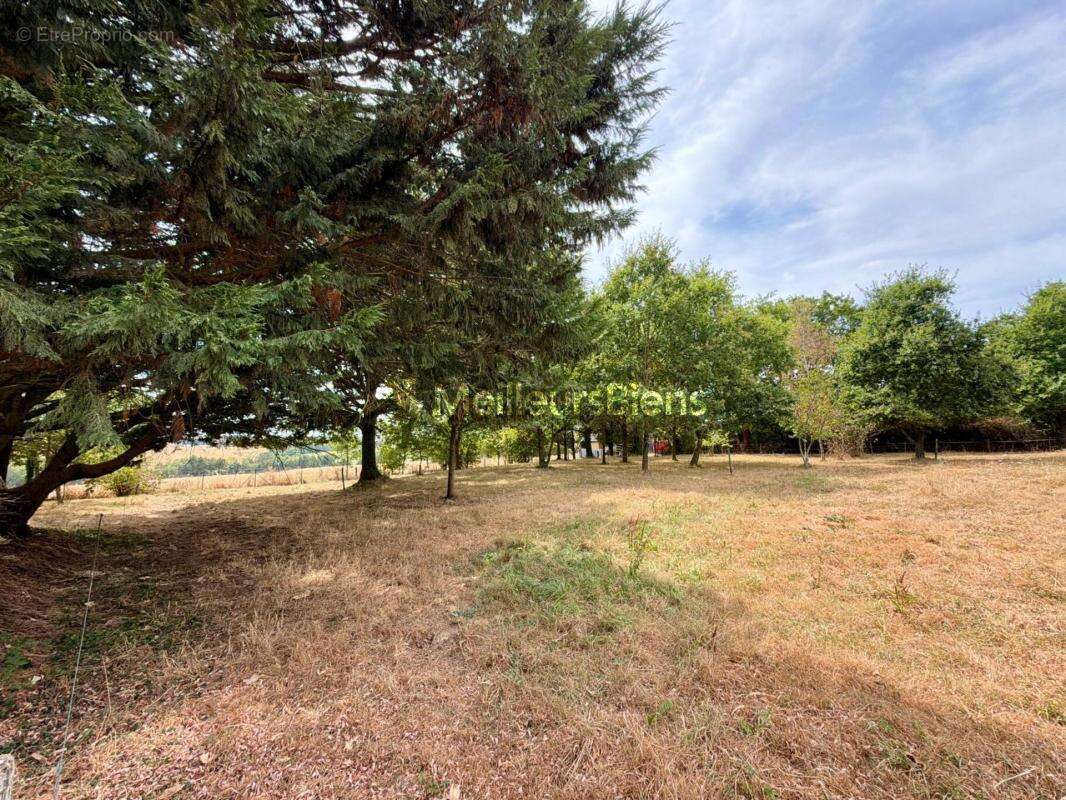 Maison en pierres de plain-pied avec dépendances sur 2,5 hectares – Saint-Saturnin-du-Limet (à 5 min de Renazé) - photo 16