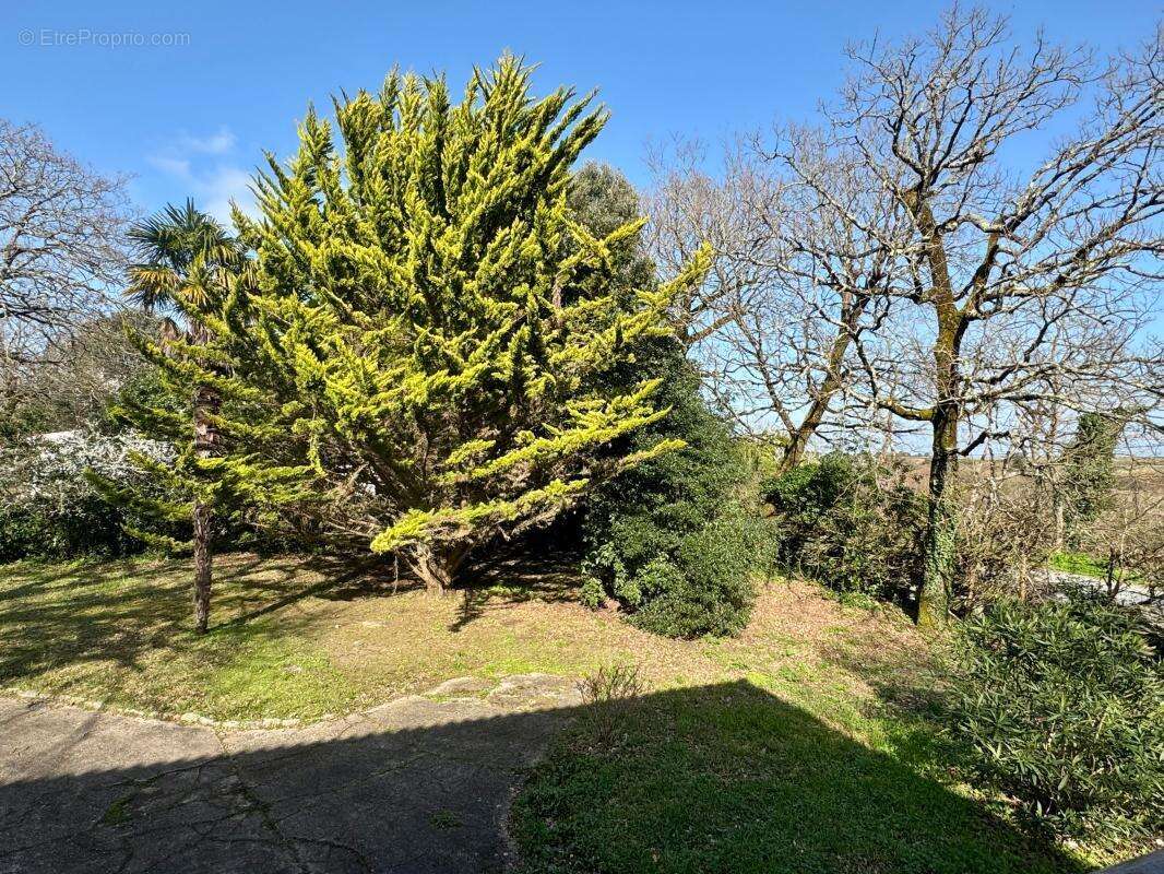 A VENDRE - Villa avec vue sur l'océan ! - photo 2