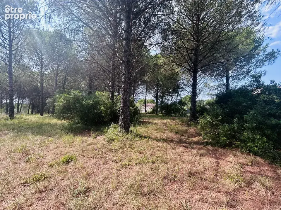 Terrain à ROQUEBRUNE-SUR-ARGENS