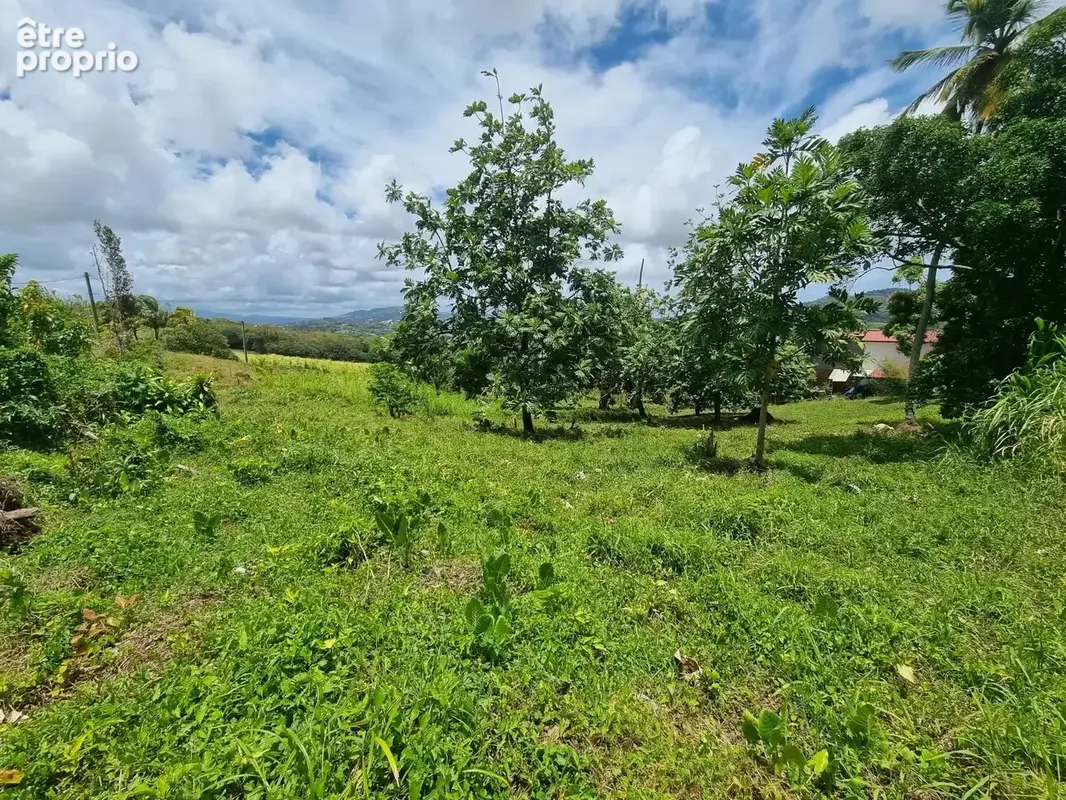 Terrain à RIVIERE-SALEE