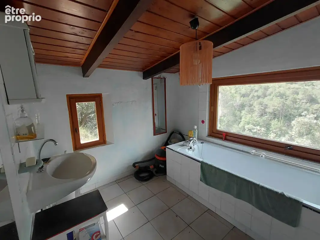 Maison à vendre avec 26200m² de terrain à PEILLE - photo 6