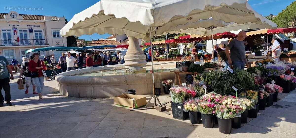 Commerce à SAINT-MANDRIER-SUR-MER