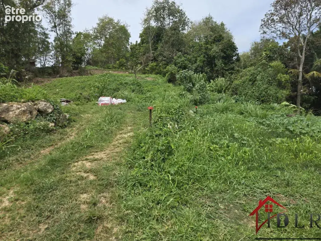 terrain constructible les Abymes 97139 Guadeloupe - photo 5