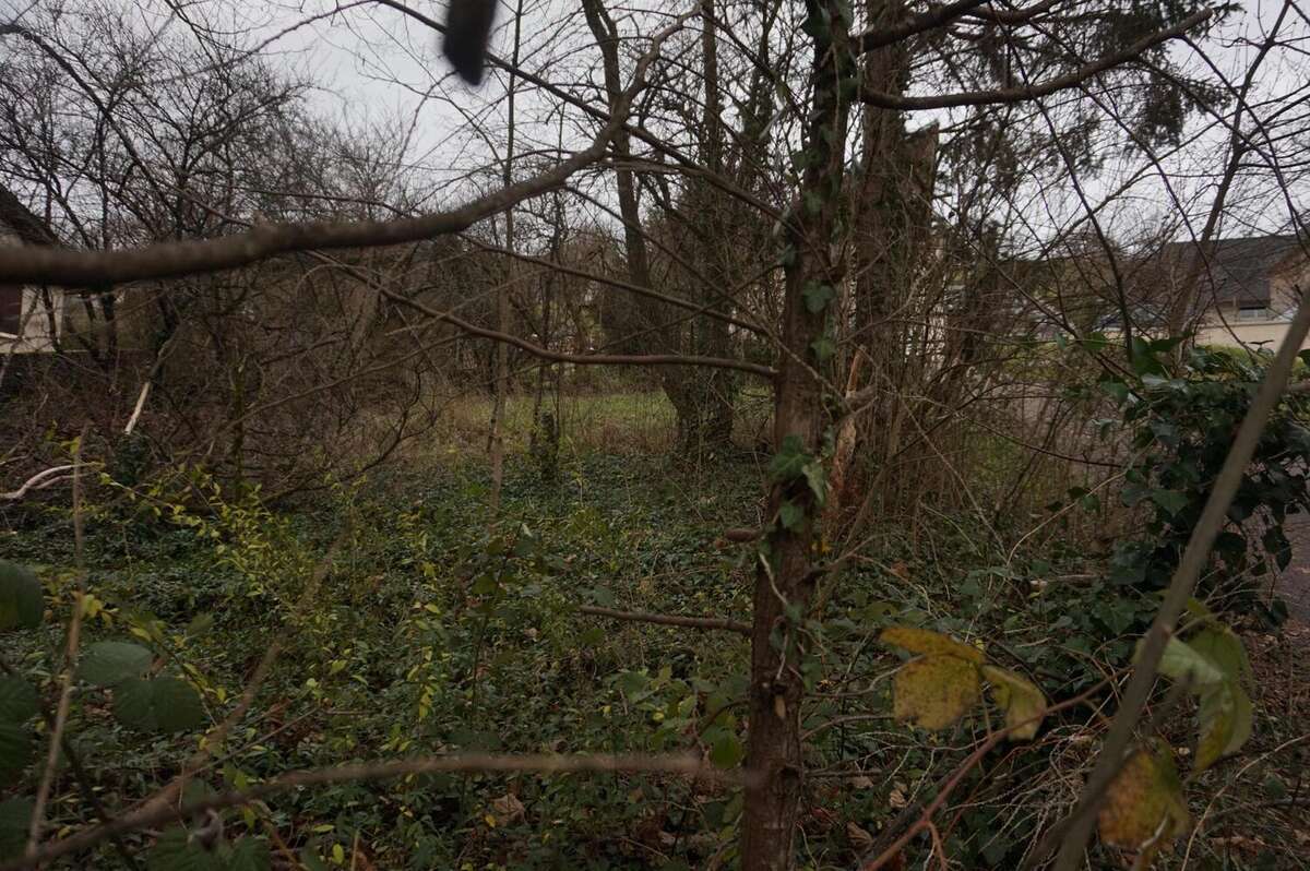 Photo 4 - Terrain à BESANCON