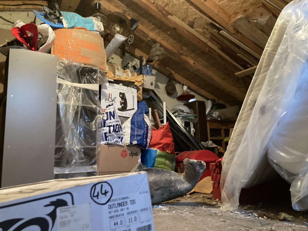 En Campagne, de plein pied. Récemment rénové - photo 19