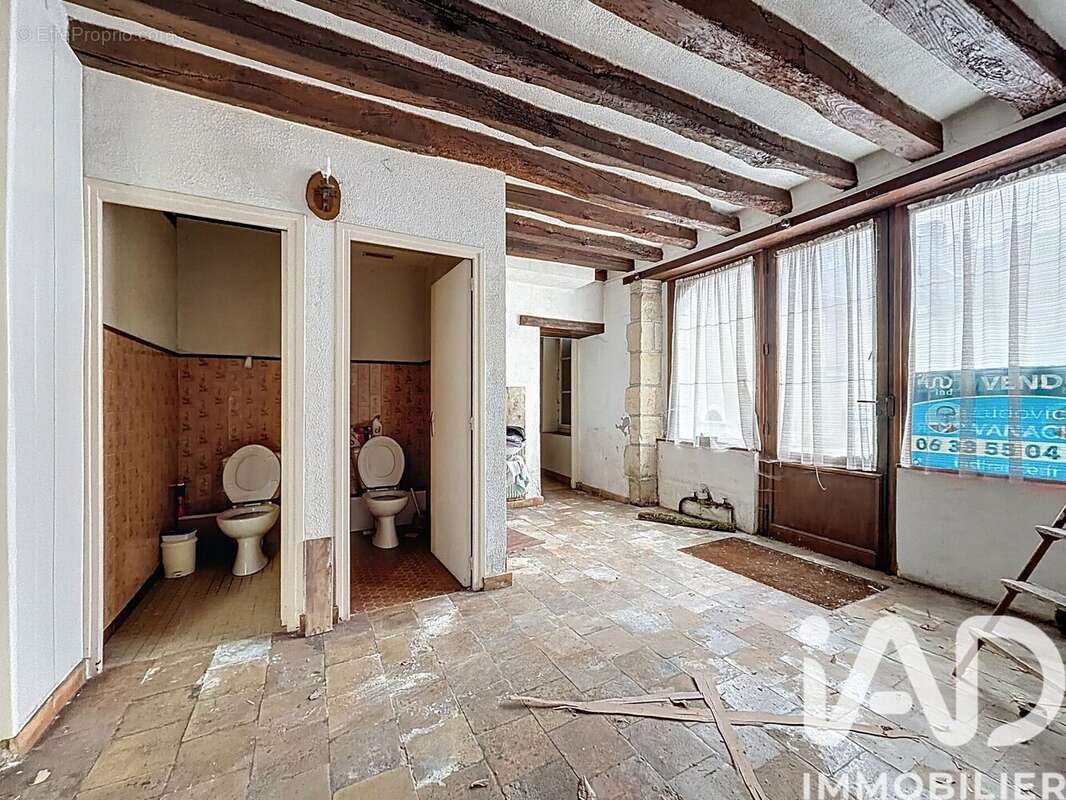 Maison 304 m² à Cangey  - photo 7