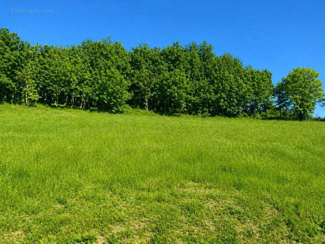 Terrain à CELLES