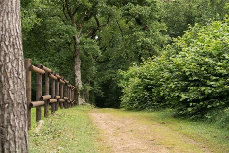 Domaine Equestre avec Gites 20min Châtellerault - photo 13