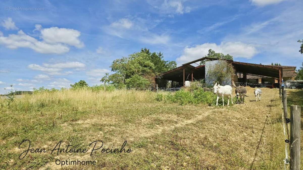 Maison de campagne à vendre 9 pièces  (31) - photo 40