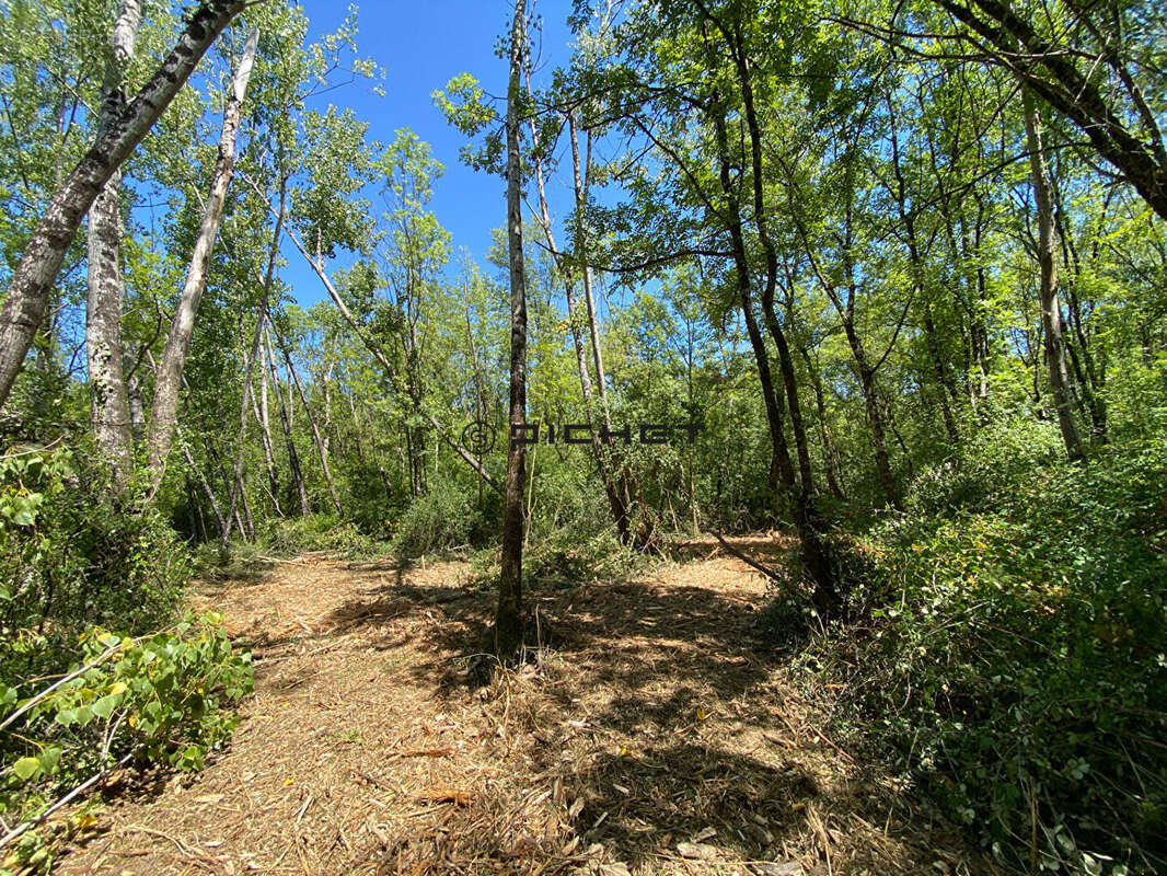 Terrain de plus de 3 hectares avec étang - photo 4
