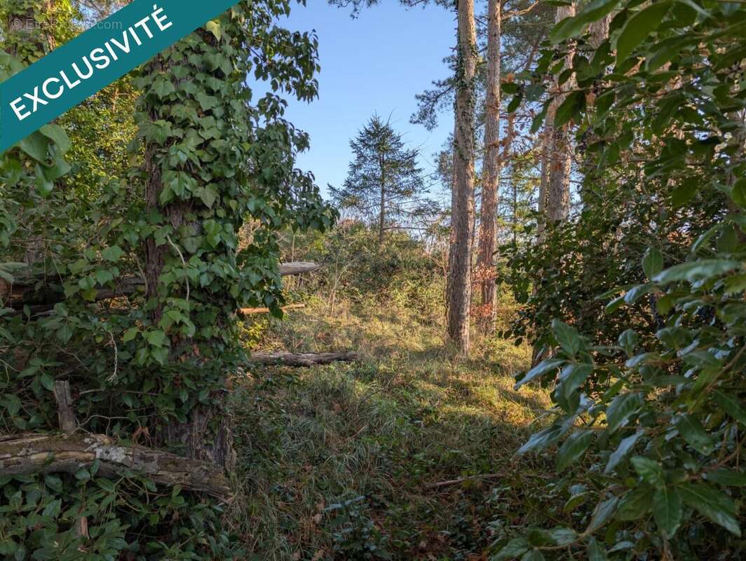 Photo 3 - Terrain à PRIVAS