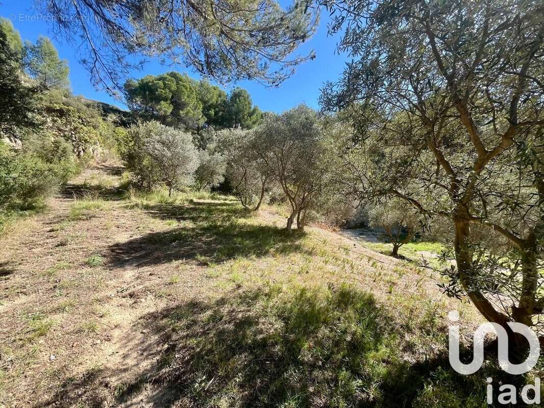 Photo 7 - Maison à SALON-DE-PROVENCE