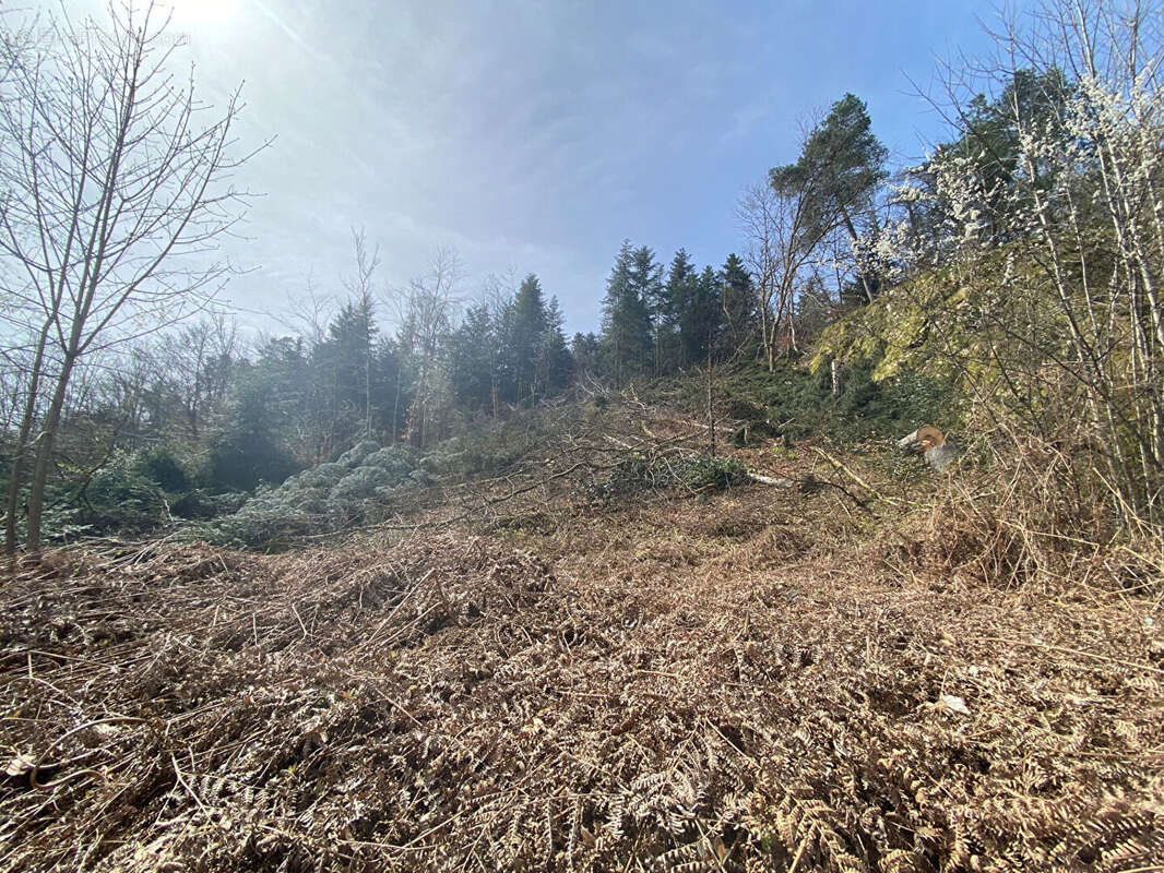 Terrain à SAINT-NABORD