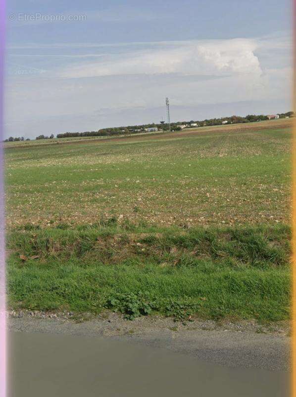 Terrain à VERINES