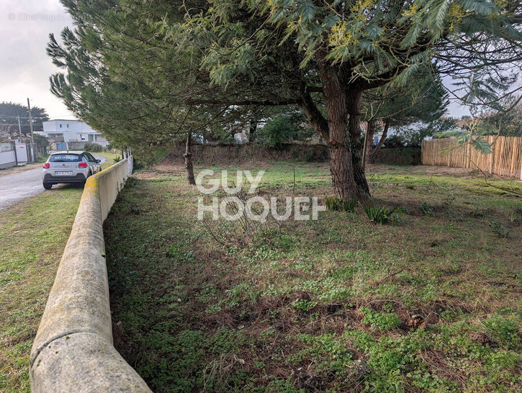 Terrain à SAINT-HILAIRE-DE-RIEZ