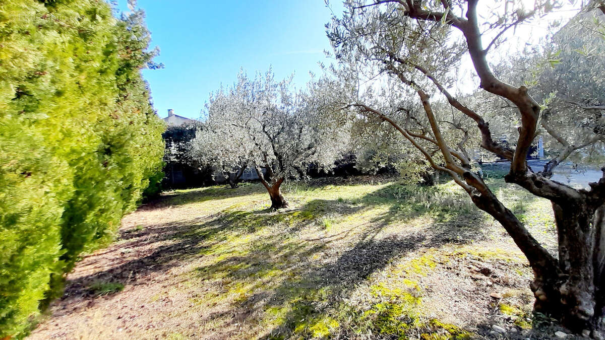 Maison de village avec terrain constructible - photo 8
