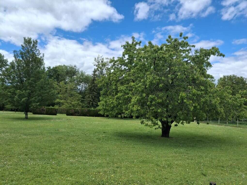 Terrain à CHASSENEUIL-SUR-BONNIEURE