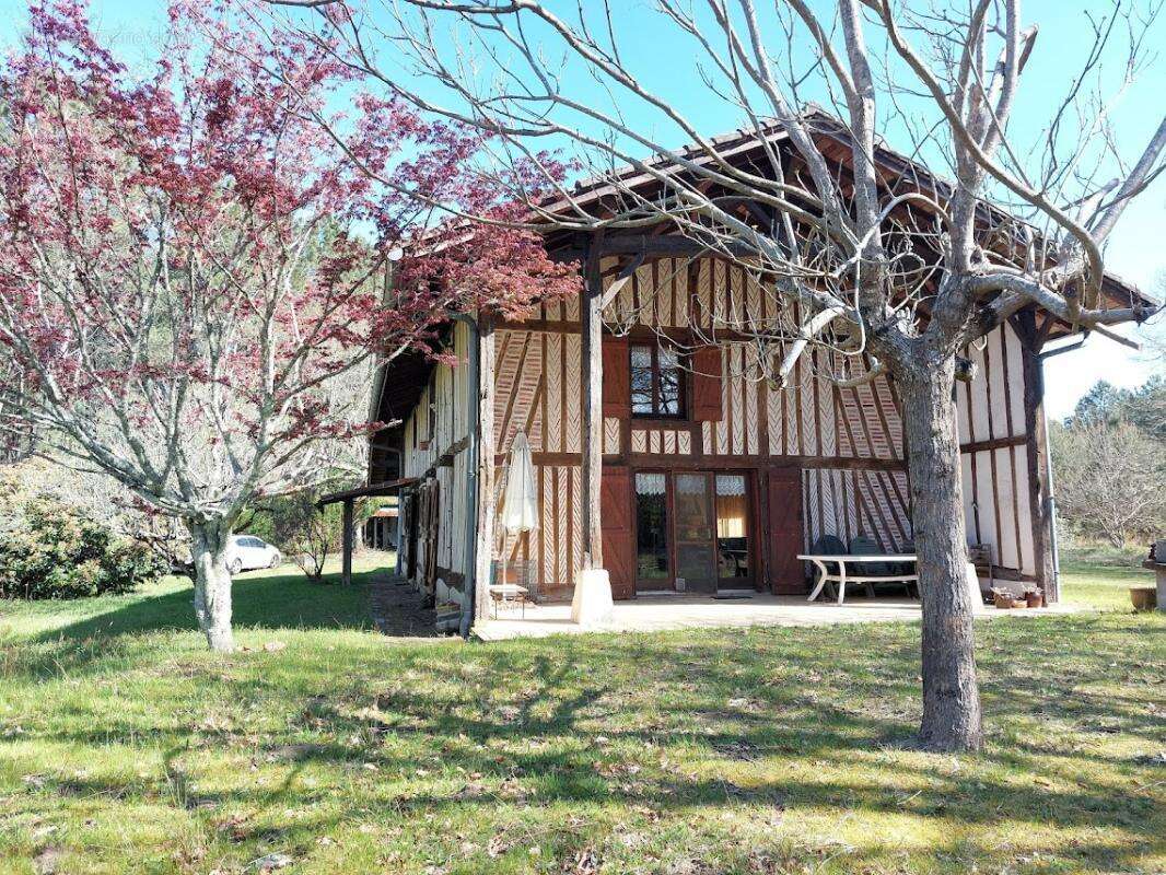 Maison Landaise entre pins et Océan - photo 2
