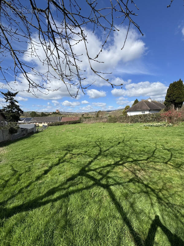 Terrain à SAINT-REMY