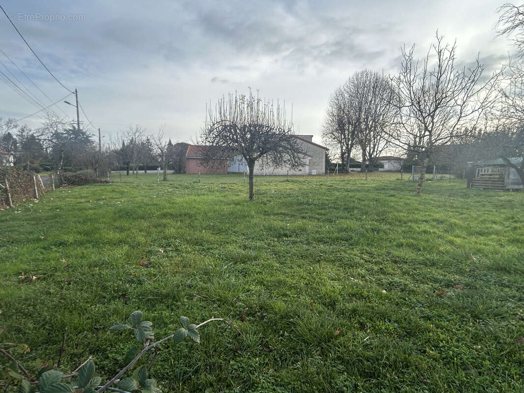 Terrain à CARMAUX