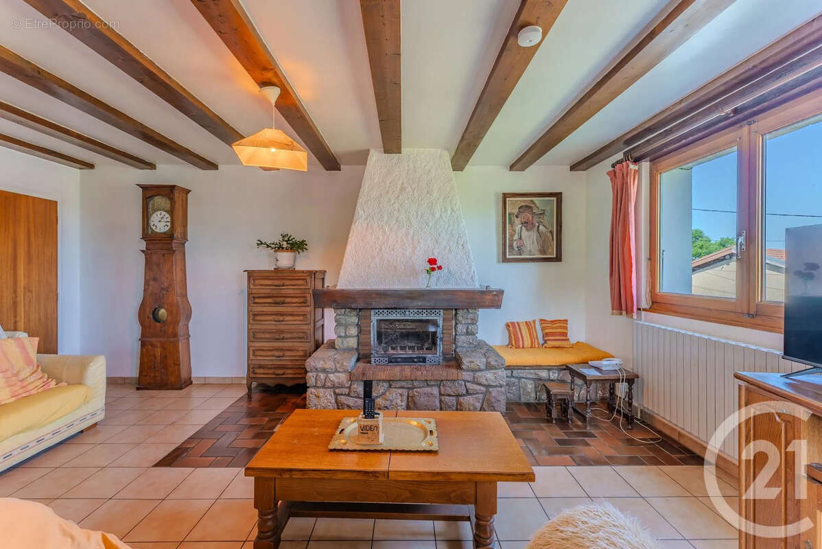 Maison 203 m² à Saint-Paul-En-Chablais  - photo 4