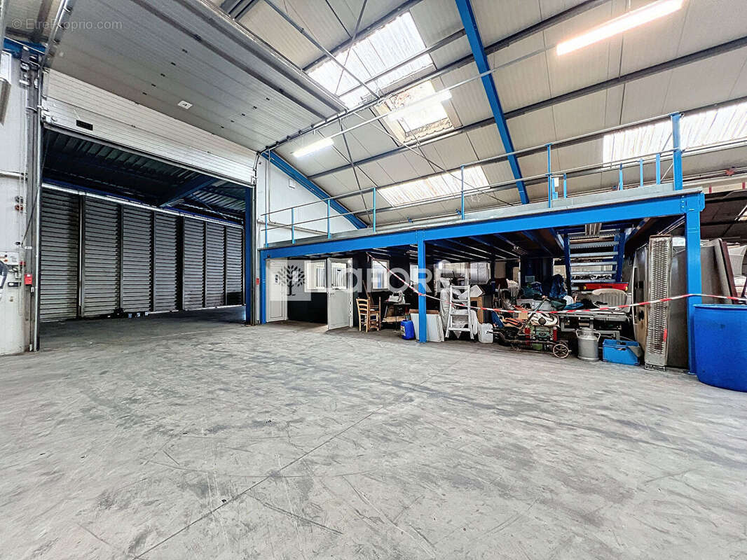 Entrepôt / local industriel Le Puy Notre Dame 4500 m2 - photo 10