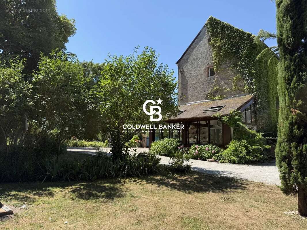 Ancien moulin de caractère – Un havre de paix au cœur de la nature - photo 13