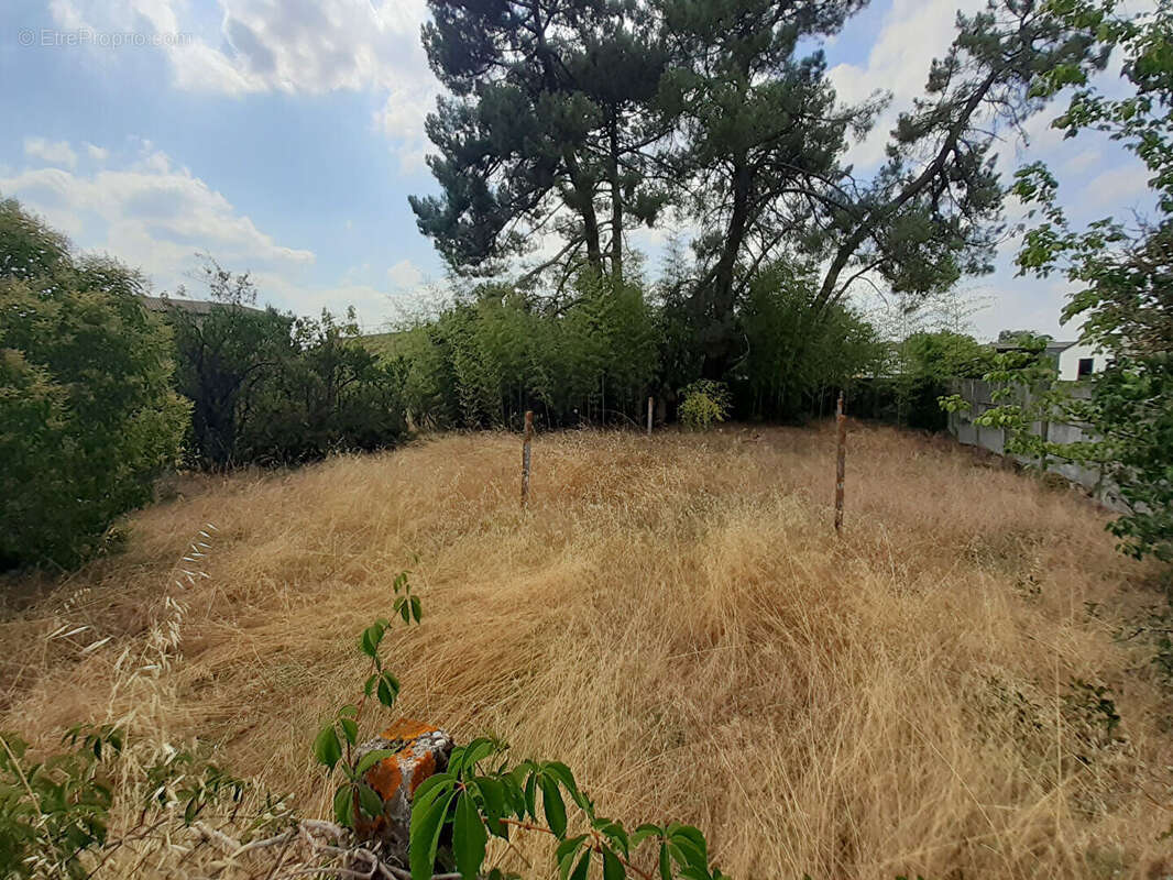 CASTELJALOUX Terrain constructible de 841 m² - photo 2